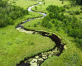 Understanding Riparian Ecosystems: Their Function, Value, and the Threats They Face