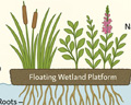 Floating Wetlands, A Versatile Tool for Cleaner Water and Healthier Urban Ecosystems