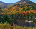 Adirondack Watershed Institute: Safeguarding the Health of New York’s Freshwater Systems